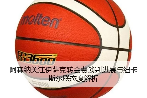 阿森纳关注伊萨克转会费谈判进展与纽卡斯尔联态度解析